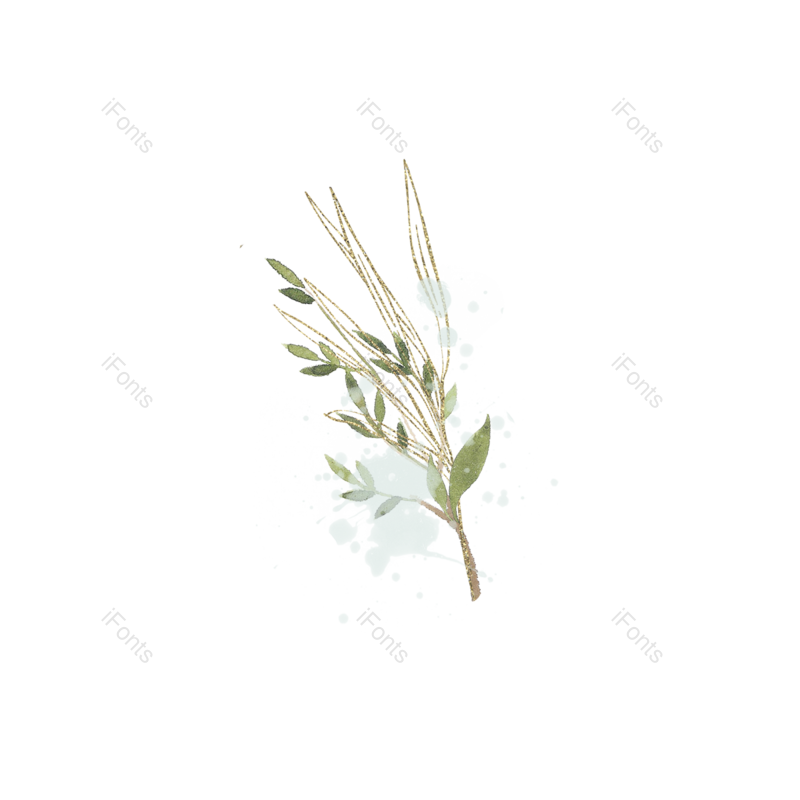 叶子图片,装饰元素,元素PNG,插画免抠素材